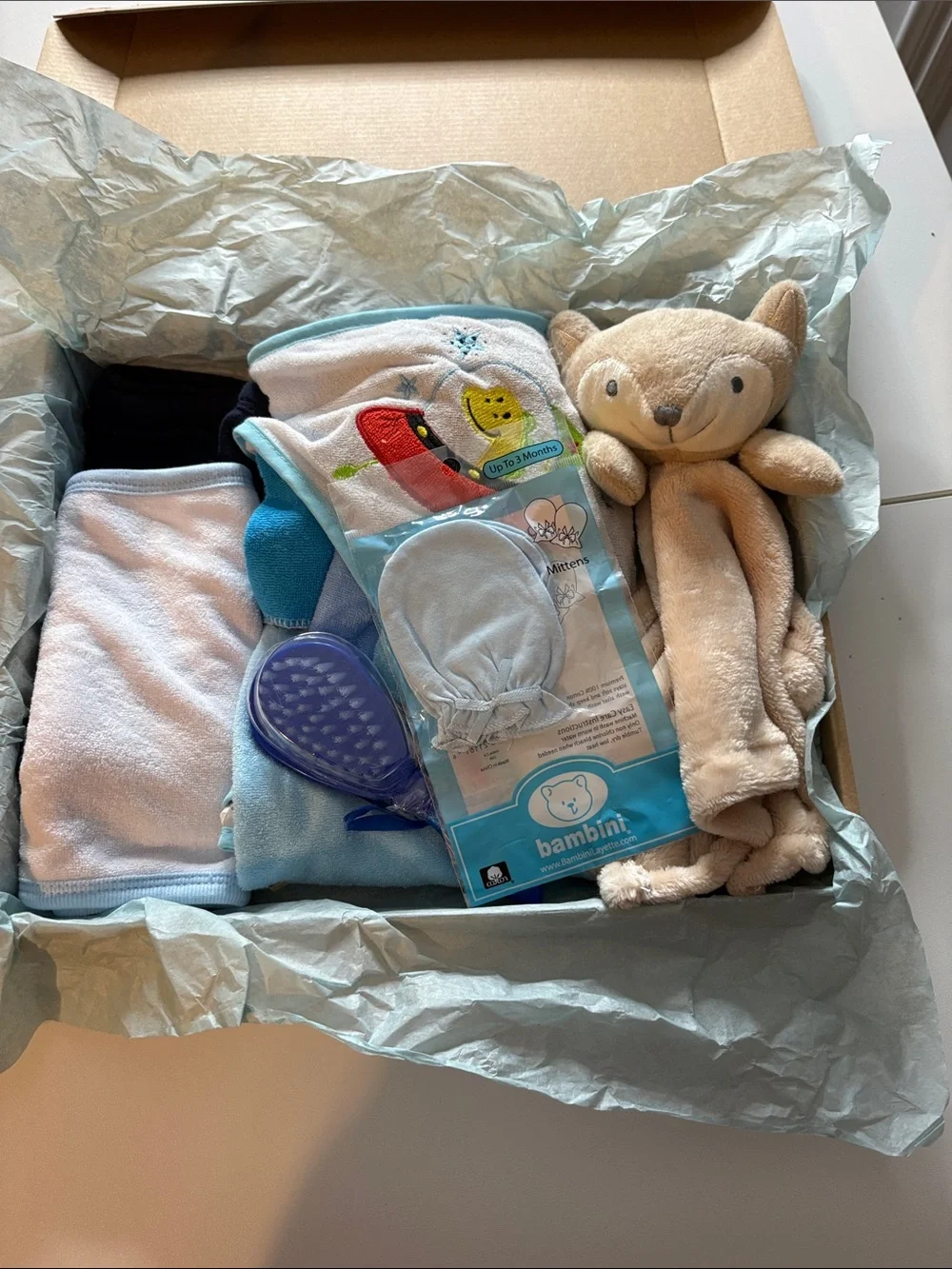 Bambini Baby Blue Mittens & Plush Gift Set